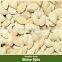 PUMPKIN SEEDS