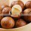new type macadamia nut cracker machine/macadamia nut opening machine/macadamia nut tapping machine