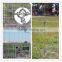 hot sale Cross lock field fence(Deming factory)