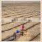 China save water drip irrigation hose
