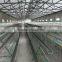 Automatic Chicken Broiler Cage for Chicken Farm with High Quality