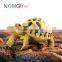 Nomo environmental resin furnishing articles indian star turtle model