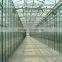 greenhouse agriculture 2016 hot export