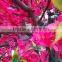 Peach Blossom Artificial Silk Flower Tree
