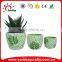 Ceramic Flowerpots for Home Decor