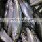 Fresh New Arrival Whole Round Frozen Sardine on sale