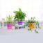 Decorative plastic self watering flower pot