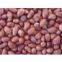 Groundnut kernels