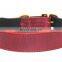 Customized Designer Leather dog collar and Leashes