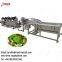 Tomato Washer and Dryer|Fruit and Vegetable Washing and Drying Machine|Strawberry Cleaning Line