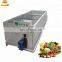 New Commercial stainless steel green vegetable washing machine for sale