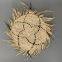 Home deco natural round coun husk handwoven kitchen placemats