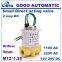 12v diesel fuel solenoid valve M12 1/8 1/4
