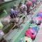 High-quality Colourful Anti-Pilling Manufacture 100% Mercerized Wool Crochet Fancy Yarn For Shawl