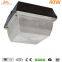 Outdoor Park Light Ceilging Light With Fixture Floodlight 40W 60W 80W 100W 5years Warranty Permanent Life