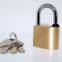 Sample available cheap good quality waterproof anti theft high security brass padlock with computer key