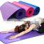 Custom Logo Nbr Gymnastic Yoga Mat Family Fitness Antiskid Fitness Yoga Mat Yoga Pilates Blue Pink Purple 183*61cm