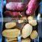 Automatic Coconut Papaya Pomelo Pineapple Honey Melon Large Taro Skin Peeling Machine
