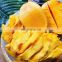Organic Solf Mango - 100% Natural From Viet Nam