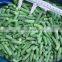 Free of Preservatives and Additives IQF Frozen Cut Green Beans