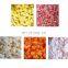 commercial vegetable okra cube cutting chopper dicing machine