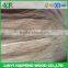 good quality ratory cut 0.28mm grade A natural water gum wood face veneer instead of natural gurjan face veneer