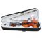 Full Size Student Violin Starter Kit(Bow,String,Case,Shoulder Rest,Rosin)