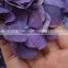 Most popular hotsell hydrangea flowers