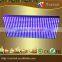 Dual Color Red&White P10 16x32 Dot Outdoorled Led Display Screen Module