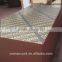 Contrete Plywood/Shuttering Plywood/Film Face Plywood