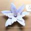 Paper Flower Wall Decoration for Wedding