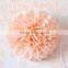Wedding Decoration Colorful Tissue Paper Pom Poms Wedding Party Decoration
