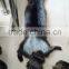High Quality Raw Dye Red Fox Fur Skin / Silver Fox Fur Pelt