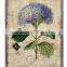Decorative Beautiful Flowers Wall Printing With Jute