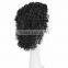 African American Natural Black Wig kinky Afro Curly curls Hair cheap Wigs N510