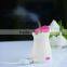 whole house humidifiers, warm mist humidifier for offic and room