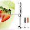 5-speed electric hand blender with CE, CB, GS, ROHS, EMC, LFGB