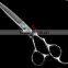 2016 hot sale thinner scissors in 6 inch with different teeth types for professional hair stylists