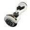 SGS 800W adult two fastwheel electric scooters with competitive prices