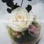 White Rose Dry Preserved Flower Glass Terrarium Dome Home Decoration Table Centerpiece Ornament Indoor Gardening 0120002