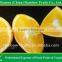 Fresh citrus fruits of Chinese sweet Mandarin orange