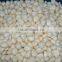 IQF peeled garlic/frozen peeled garlic/ frozen garlic
