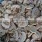Block Shape new season preserved dried mushroom