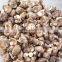 High quality dried Shiitake mushroom