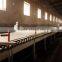 Cheap automatic gypsum board production line for sale