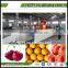 manufacturer of Apple/Orange/lemon/Mango/avocado Fruit washing/waxing/grading Machine