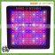 mars hydro led grow light, Mars II 700 full spectrum vertical hydroponics system led grow light