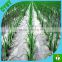 Factory produce agricultural plastic mulch film for agriculture