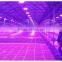 Newest Greenhouse Grow Led Lights 300w,Vegetative 300w Led Grow Lights Grow Panel Grow Lamps
