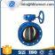 Worm Gear Double Flange Butterfly Valve D341X-16